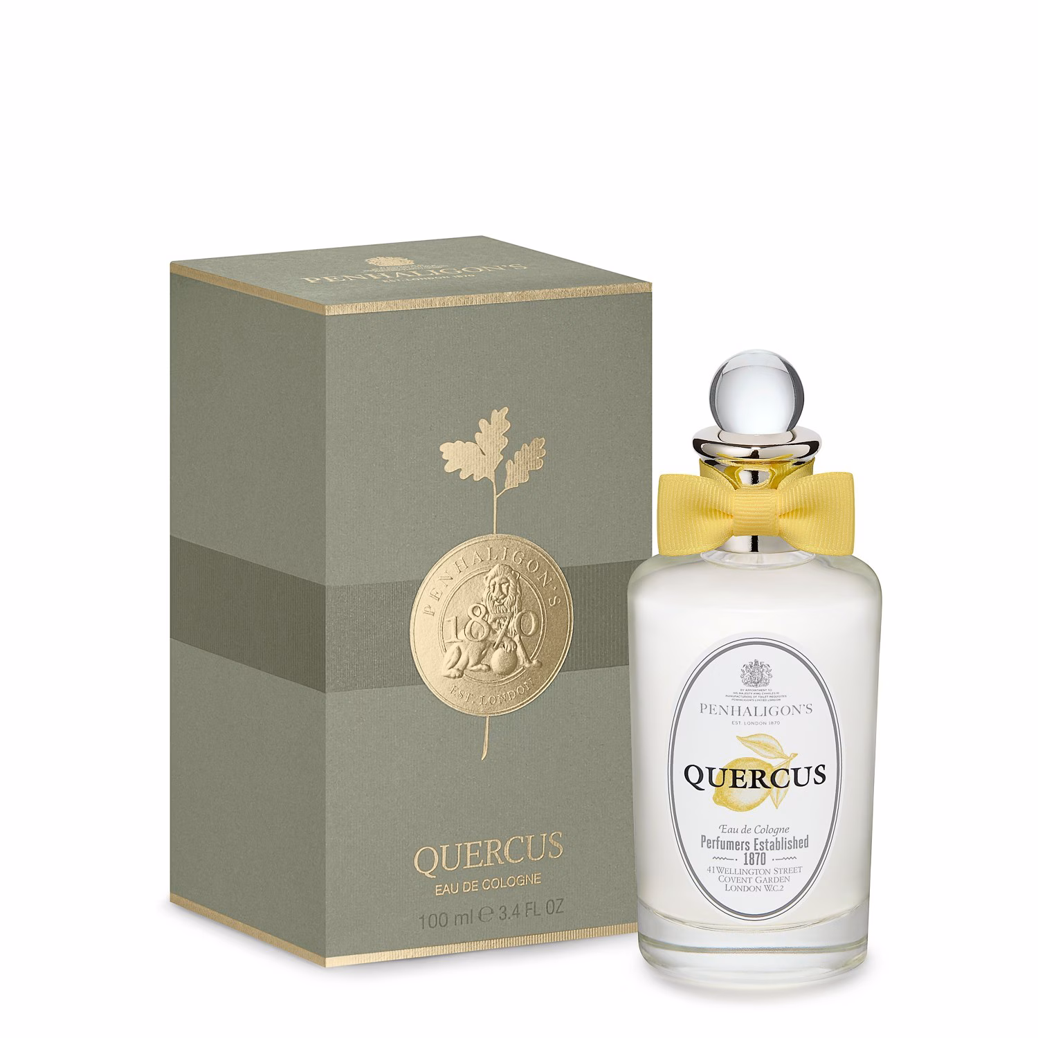 Quercus