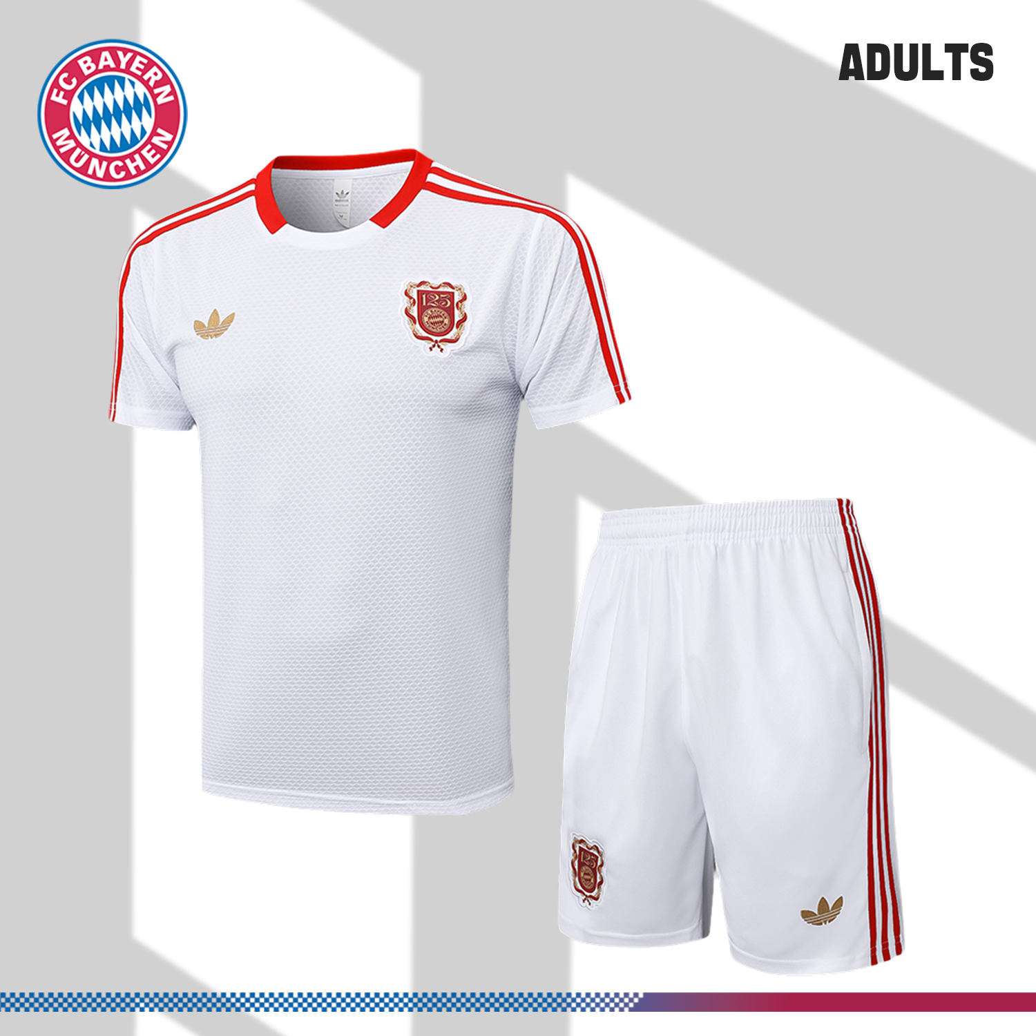2024/2025 Bayern Munich 125th Anniversary Black and White Short Sleeve Training Jersey (Adult Kit)