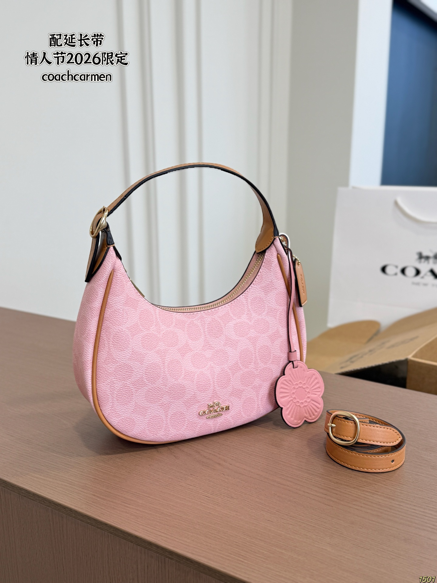 Coach Valentine Day limited edition underarm bag