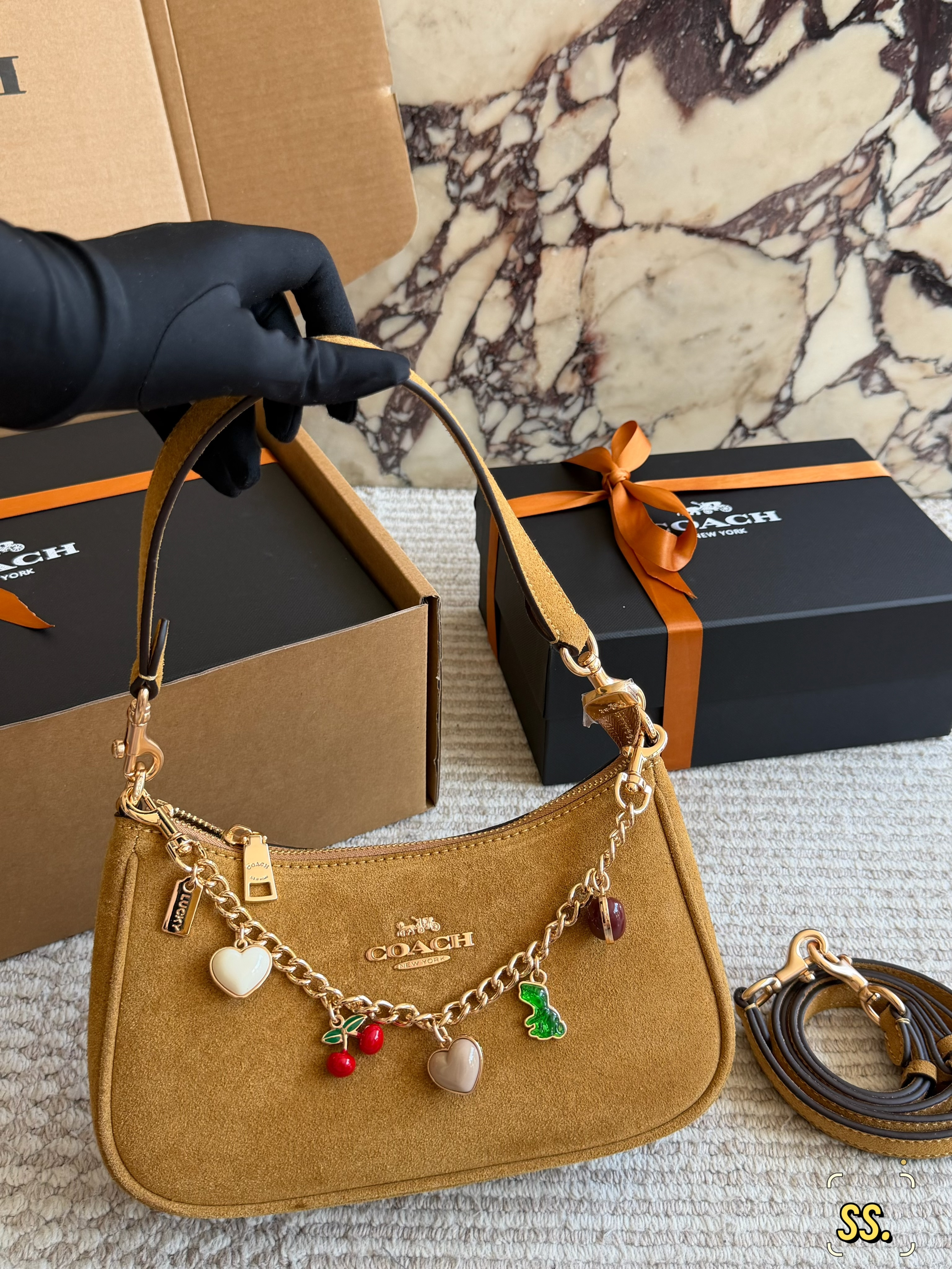 Coach Teri Shoulder Bag