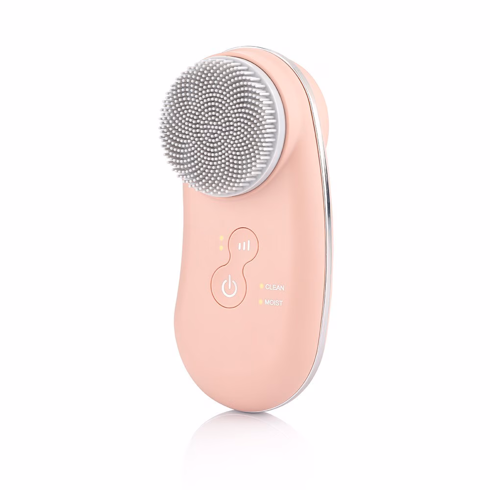 Fresh Duo Care Blush Sonic Face Brush