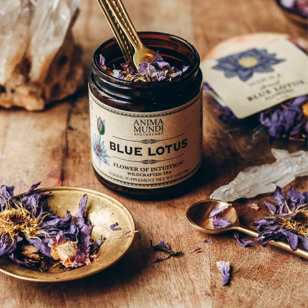 Anima Mundi  Blue Lotus Flower of Intuition