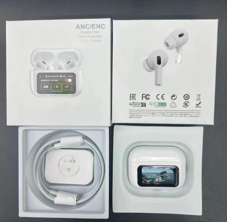Earphones