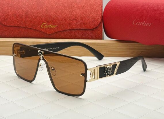 Cartier sunglasses 18