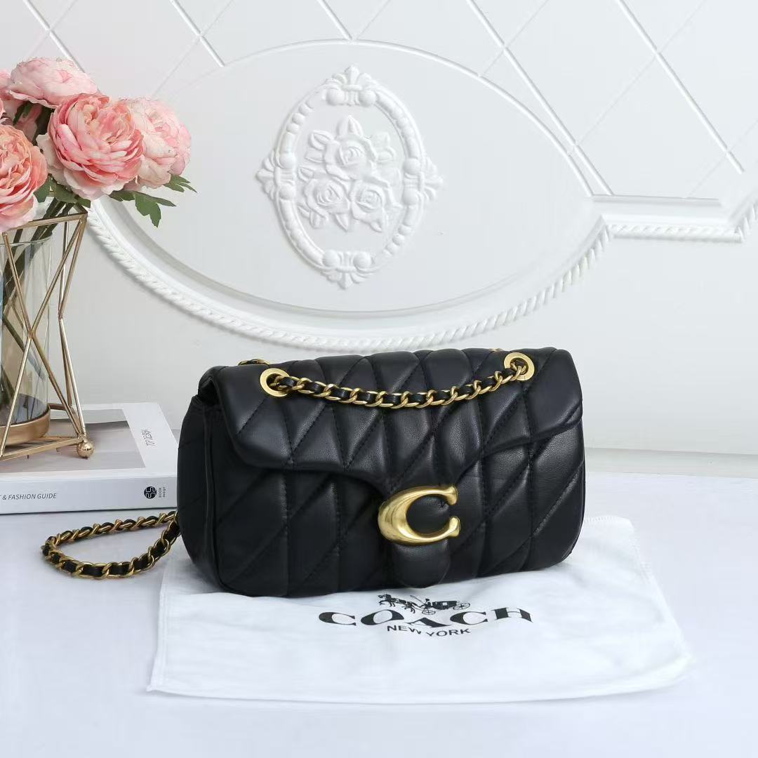 Coach chain bag