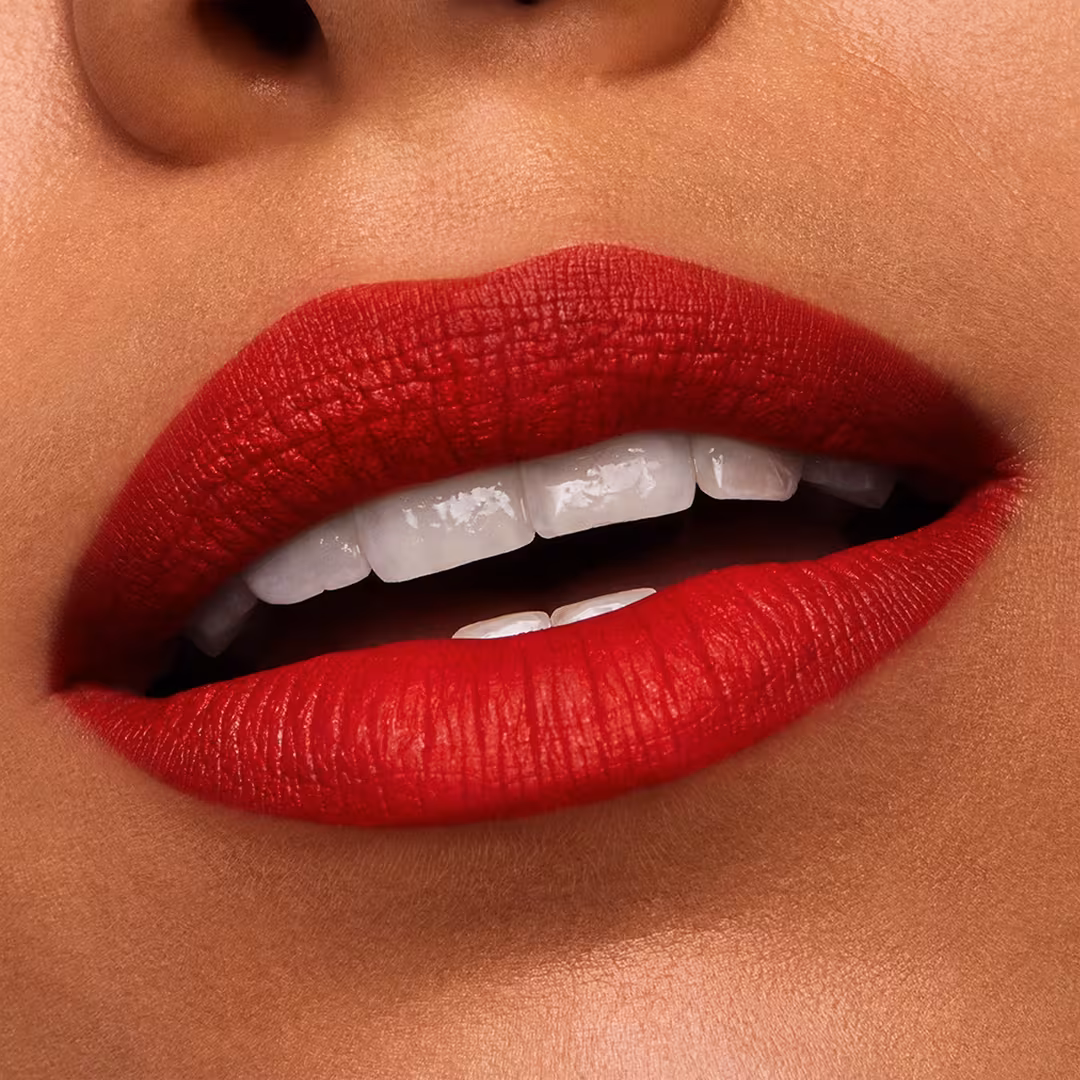 Estée Lauder  Pure Color Matte Lipstick