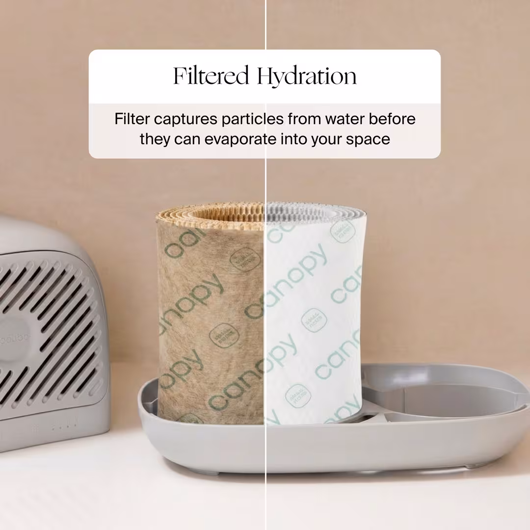 Canopy  Bedside Humidifier Filters