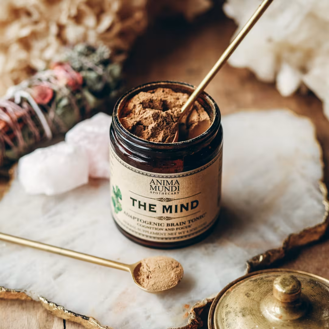 Anima Mundi  The Mind Cognition + Focus