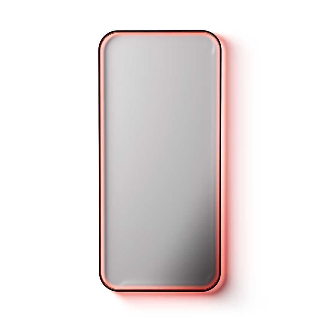 BodyGuardz  Red Light Converter + Privacy