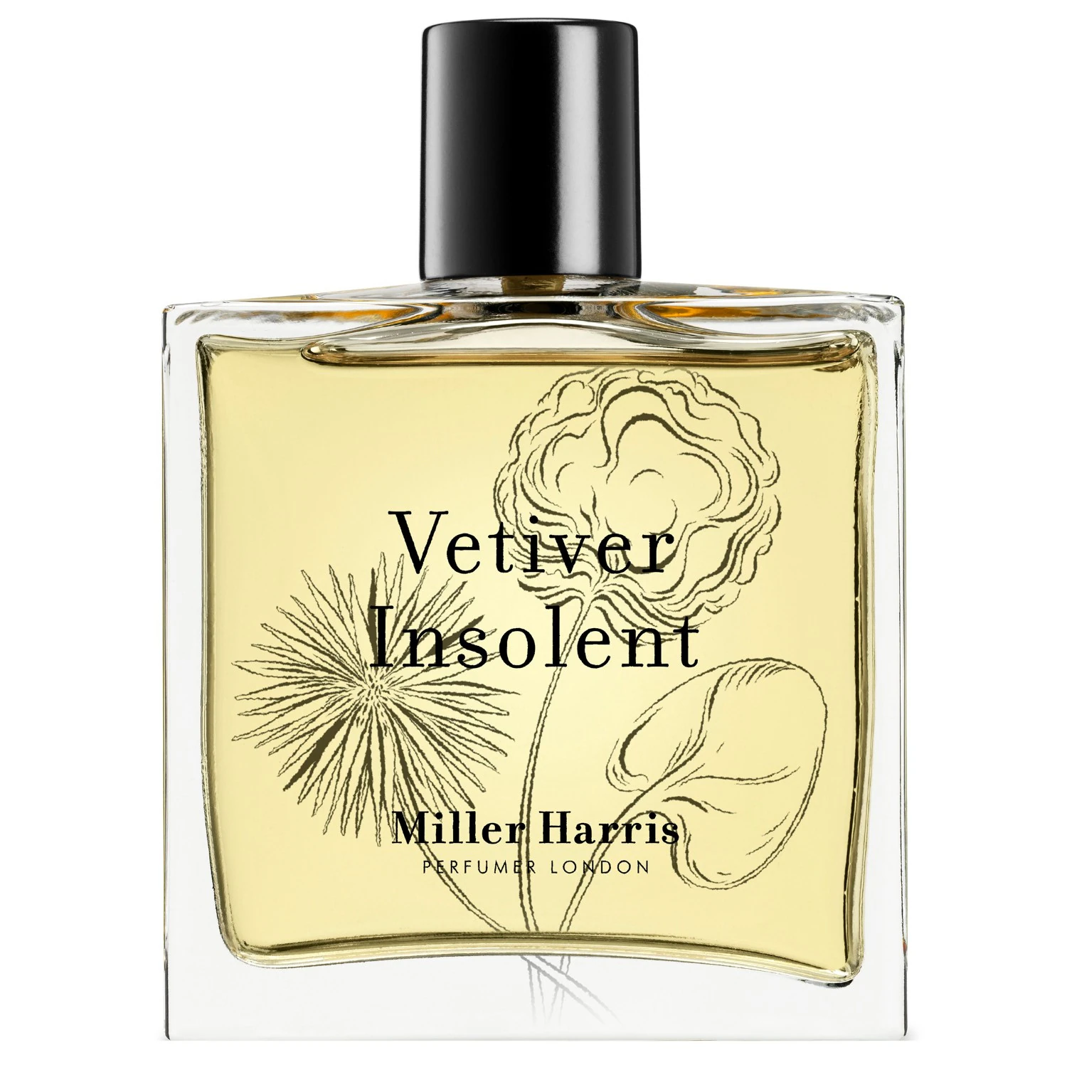 Vetiver Insolent