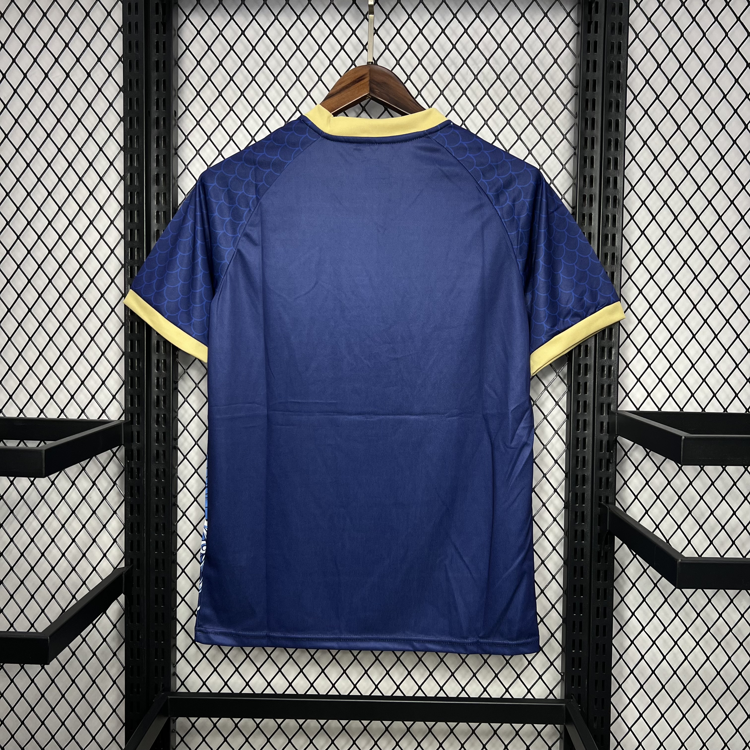 2024/2025 Japan Dragon Edition Football Shirt (Player Edition)