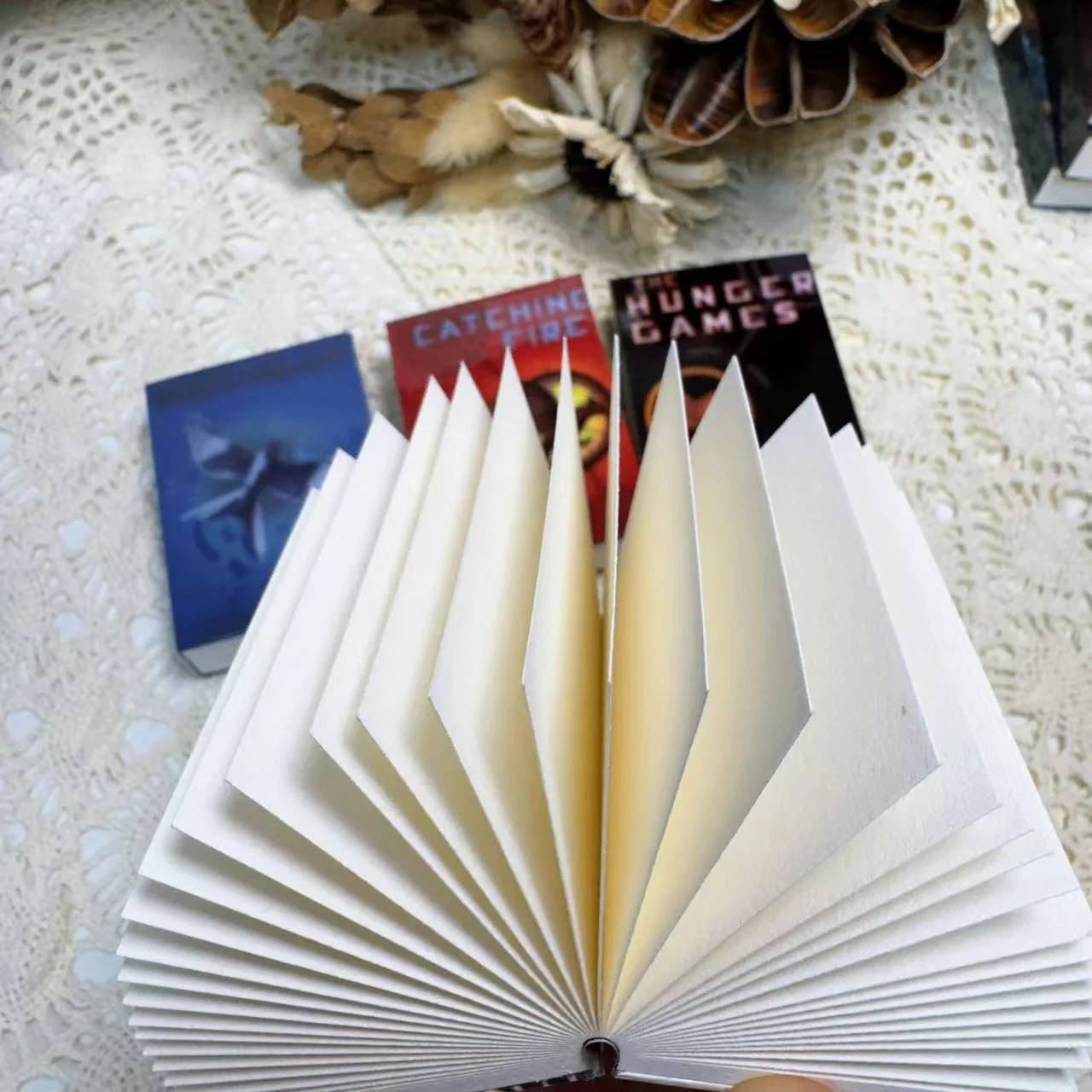Hunger Games (3 book series)