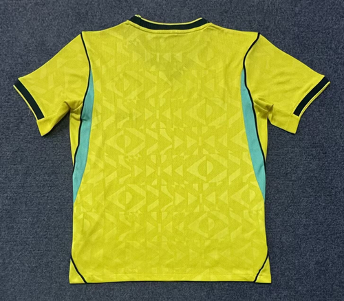 Fan version 2026 Brazil home