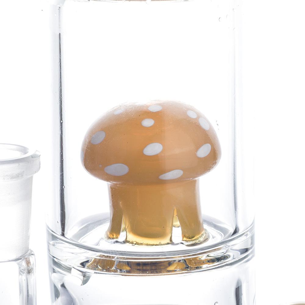 10 Mushroom Honeycomb Dab Rig