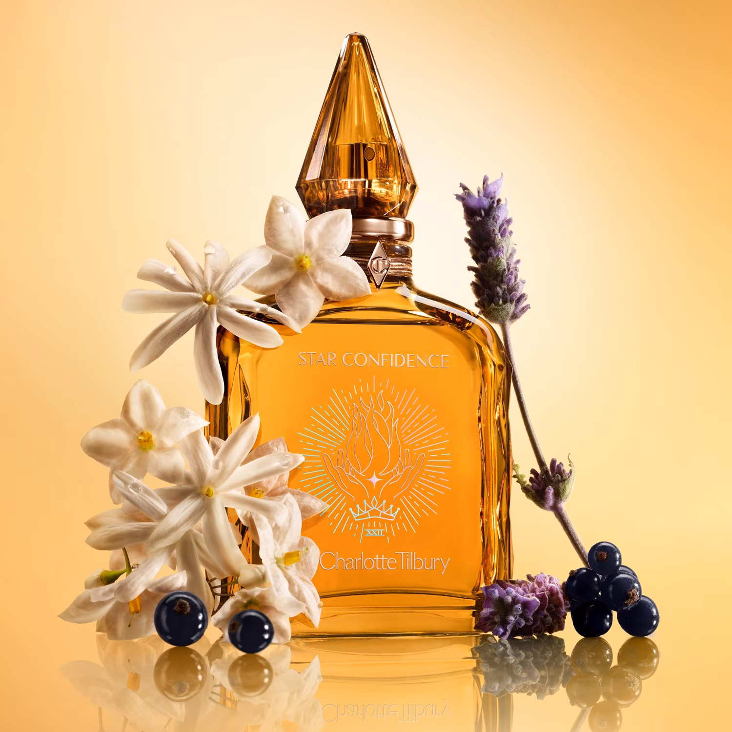 CHARLOTTE'S FRAGRANCE COLLECTION OF EMOTIONS