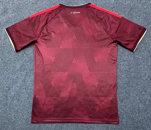 Fan version 2026 Venezuela Home