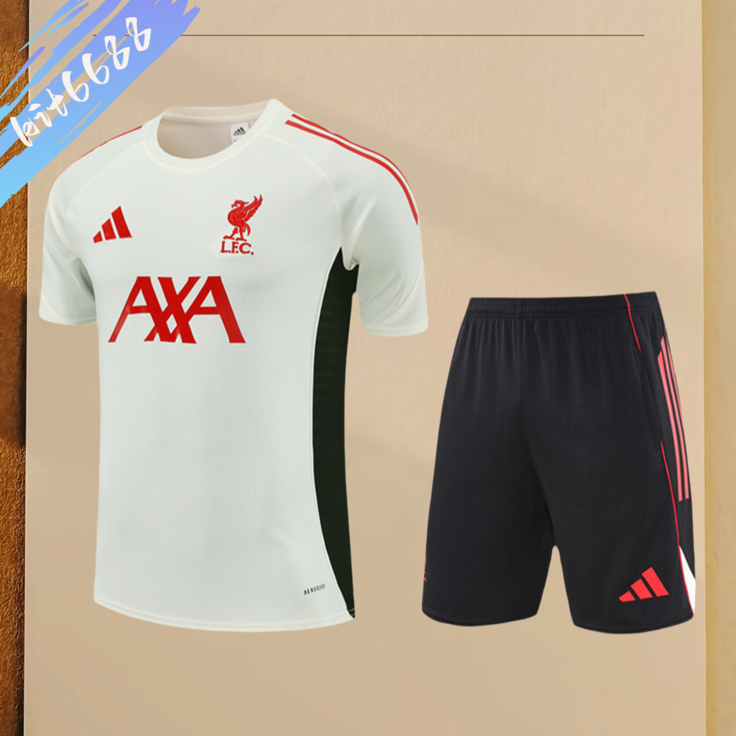 2025/2026 Liverpool White Adult Short Sleeve Training Wear (Adult Kit)