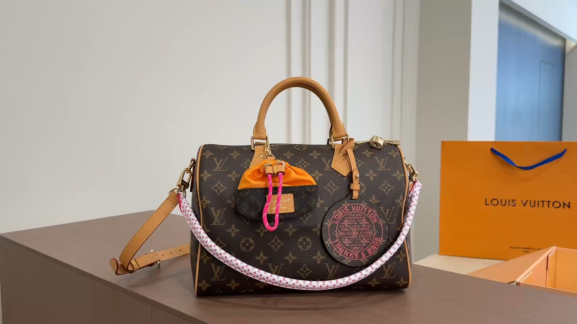 LV Speedy Soft Pillowcase