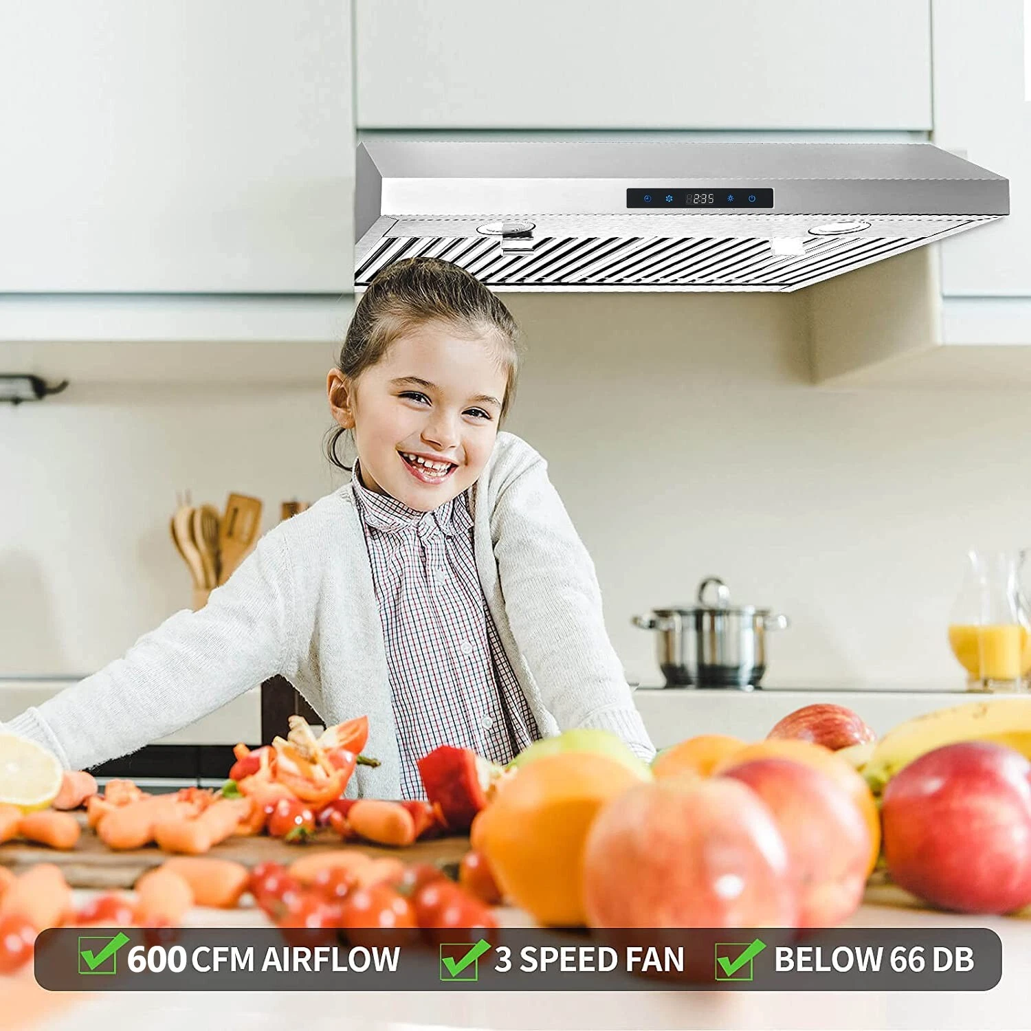 Under Cabinet Range Hood 30 inch Stainless Steel Kitchen Hood 600 CFM Stove Filter Touch Control LED Lights