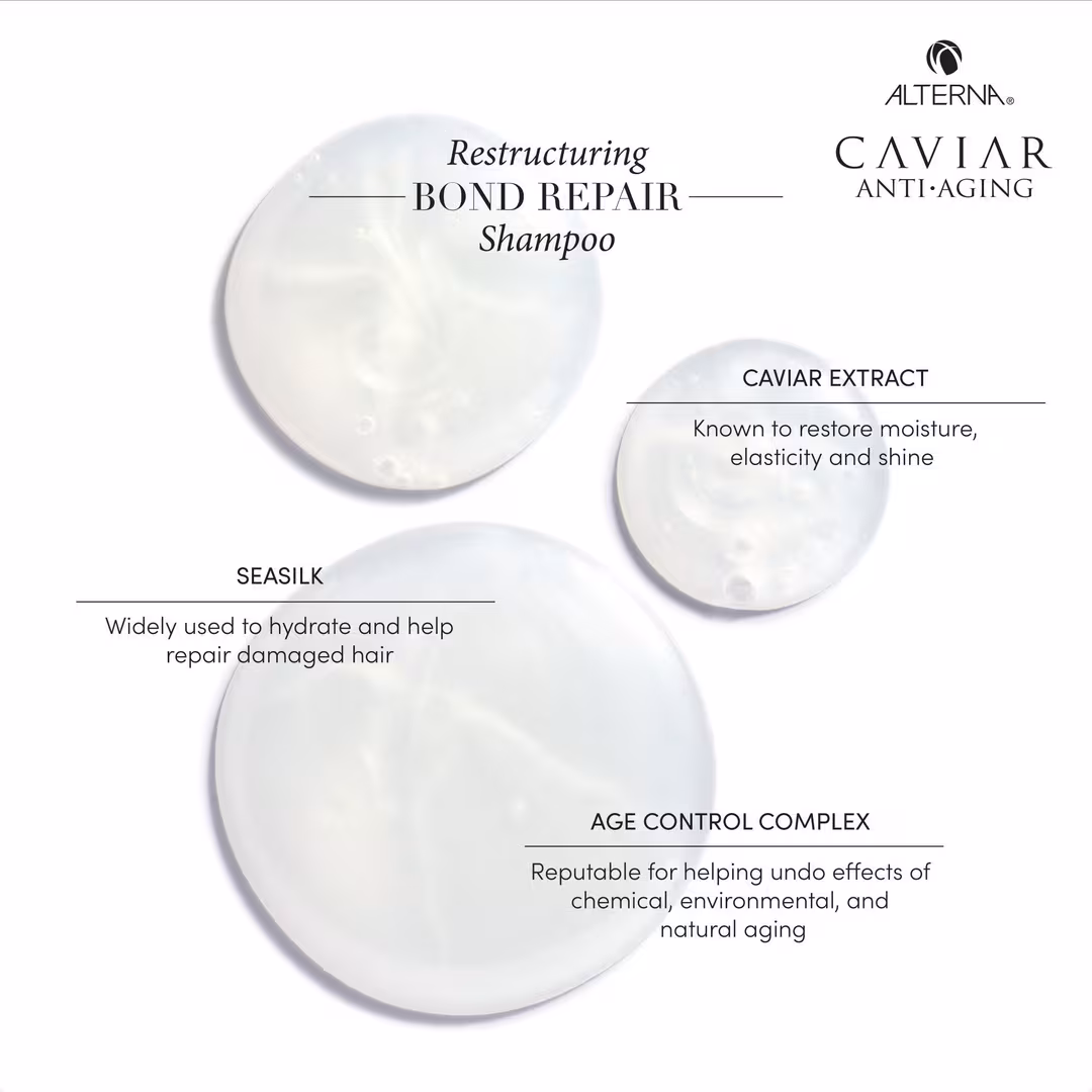 Alterna  Transformational Bond Repair Kit