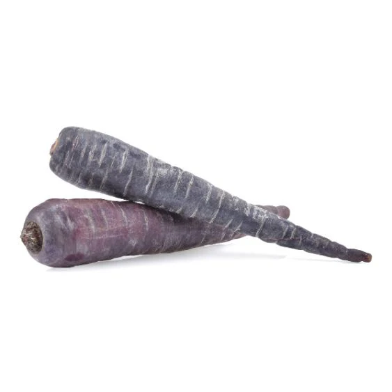 Black carrots – colorful root vegetables with power