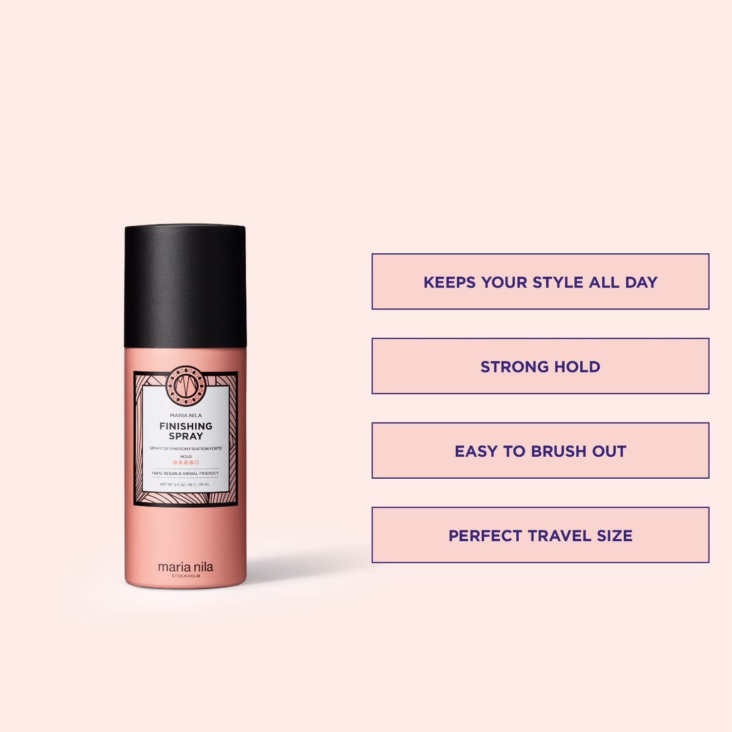 Finishing Spray