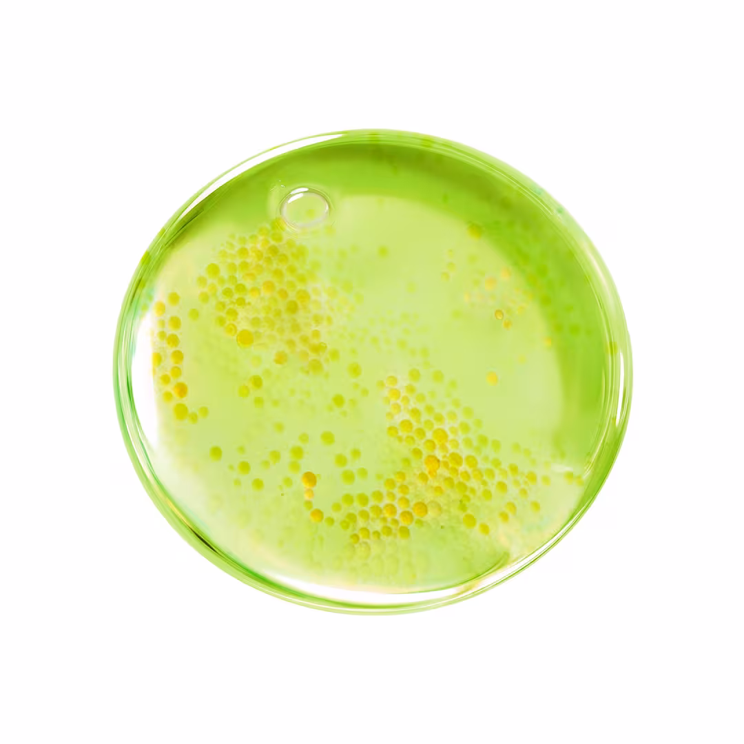 Purito  Azelaic Acid 10 Kojic Tea Tree Serum