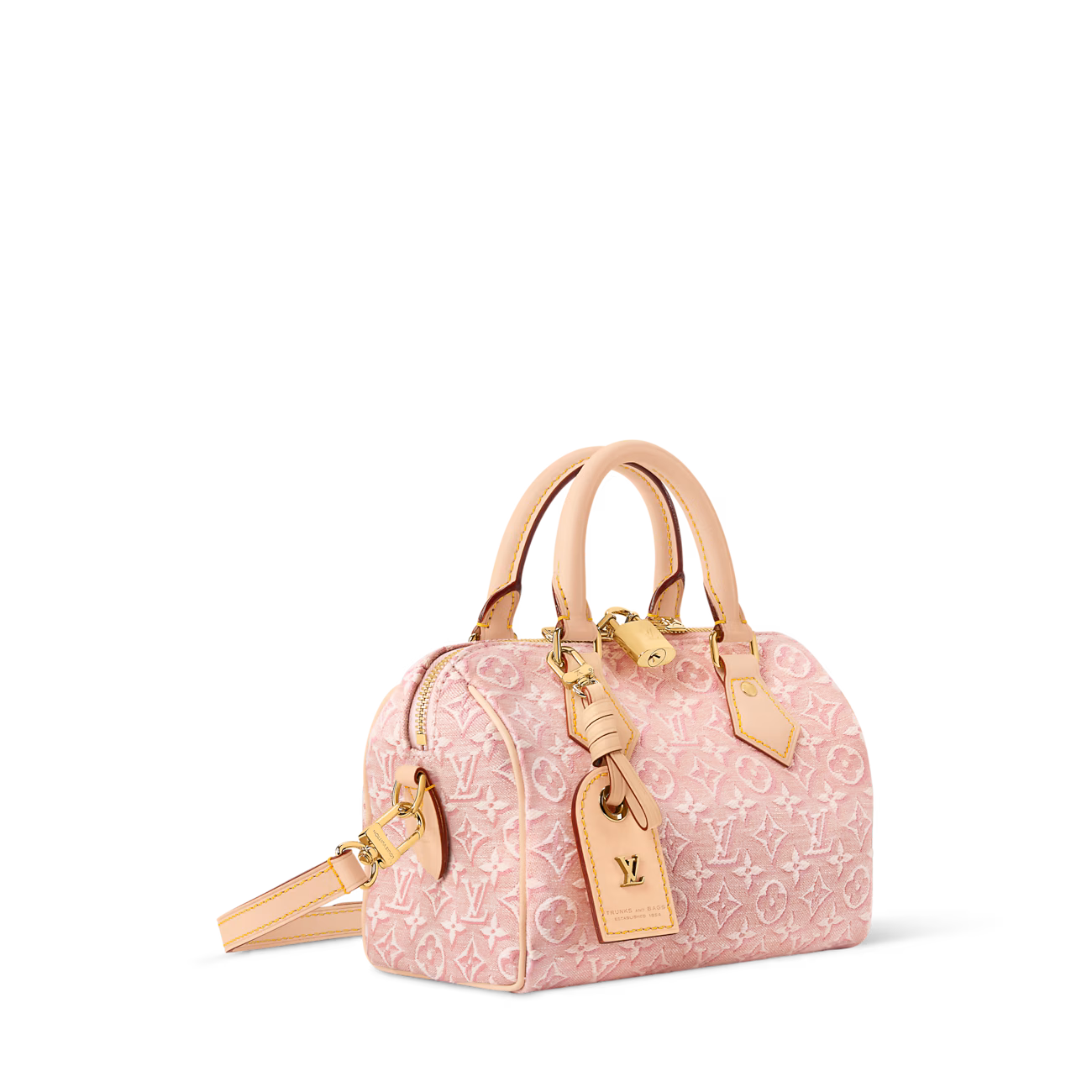 LV Speedy Bandoulière 20 Bag