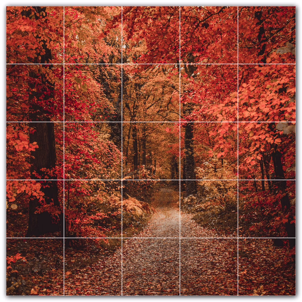 Picture-Tiles.com: Autumn Ceramic Tile Wall Mural WAL500013-55M. 30