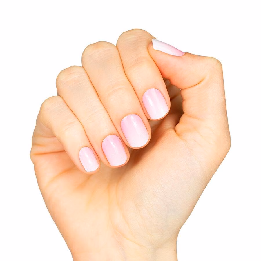 Rose Babyboomer