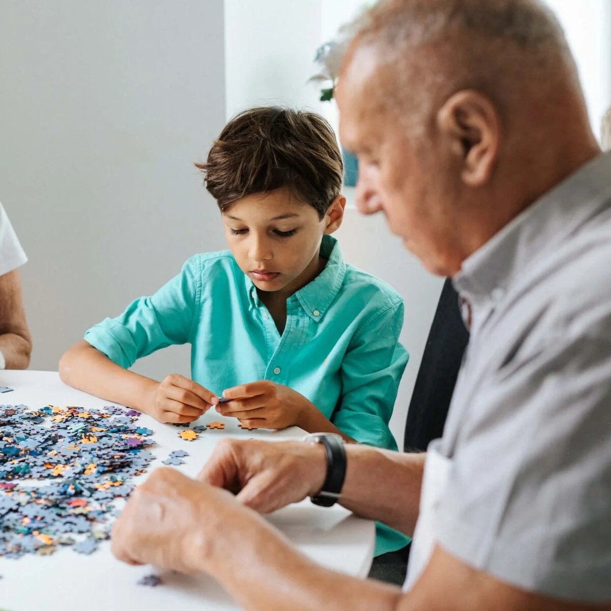 Puzzle 1000 El. Psy W Ogrodzie