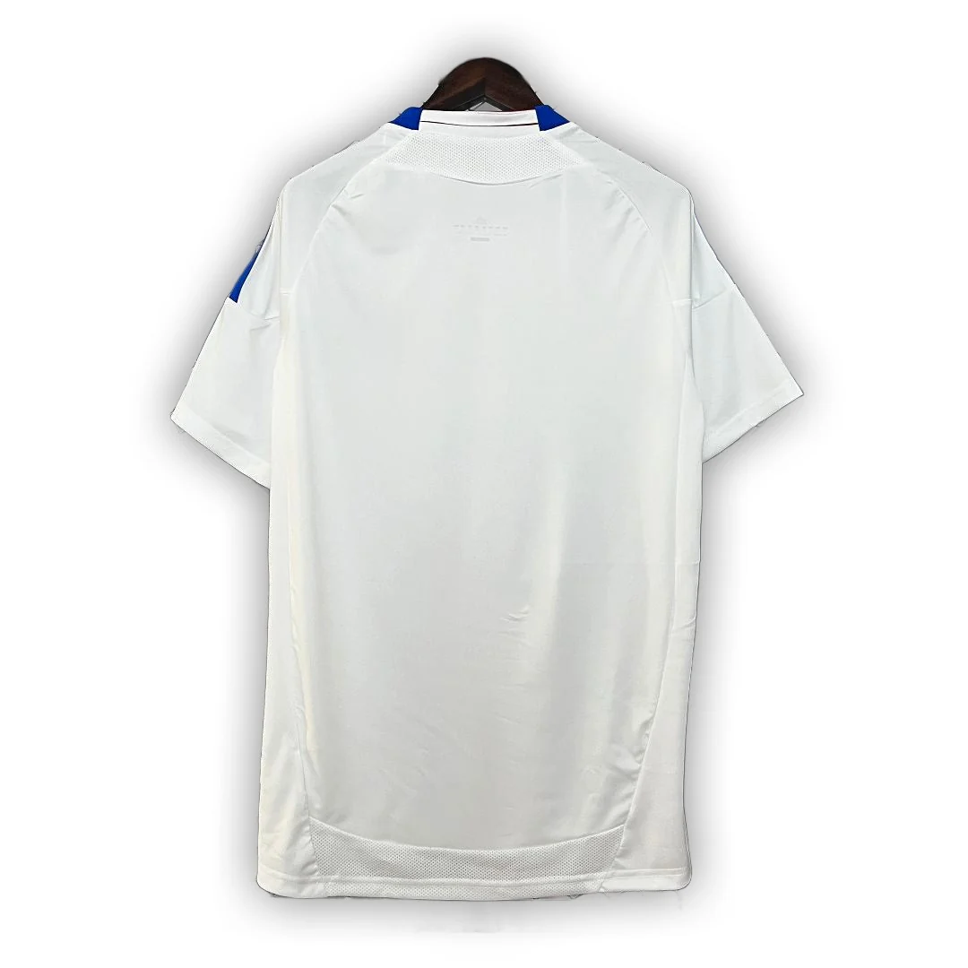 Lyon 2010/11 Home