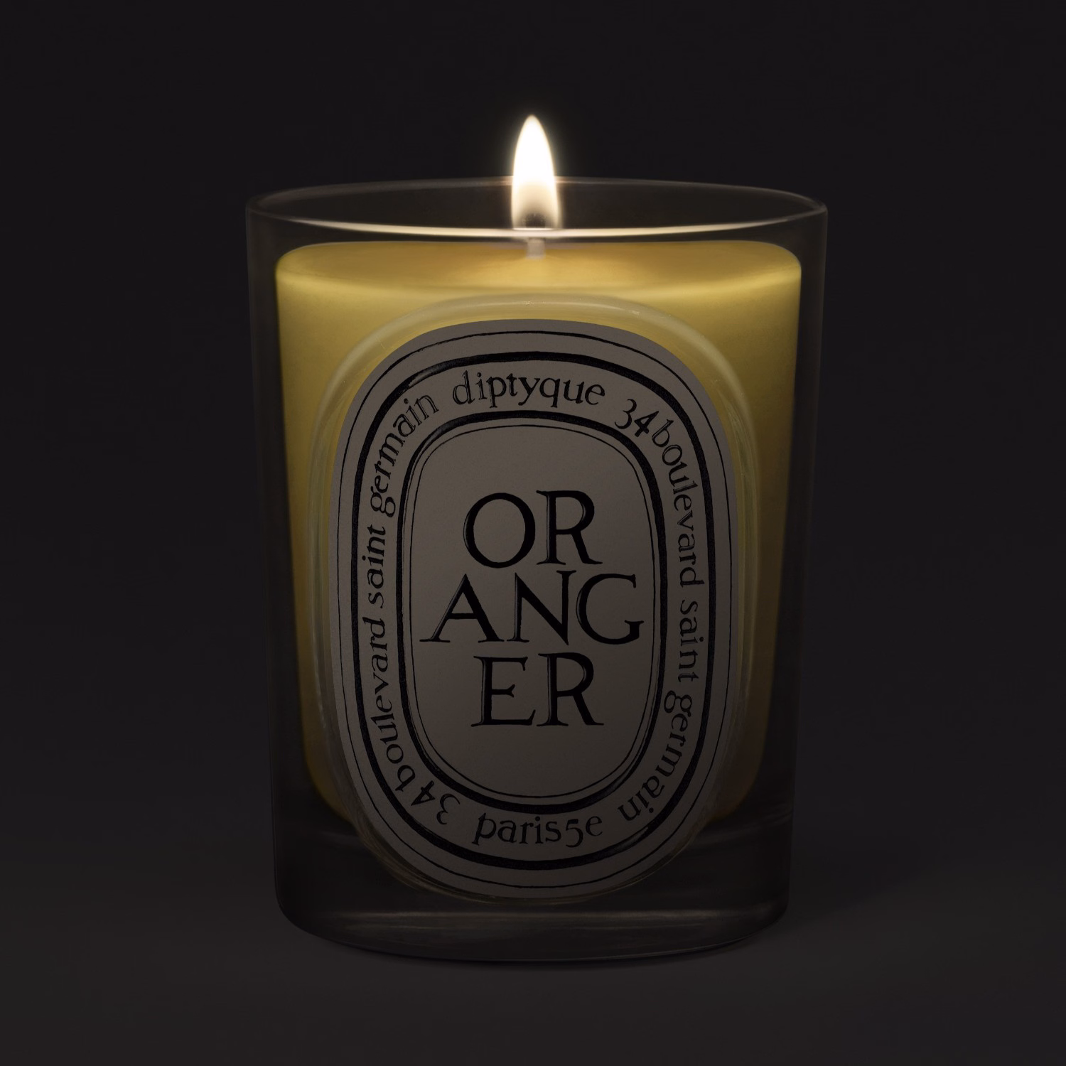 Oranger (Orangenbaum)