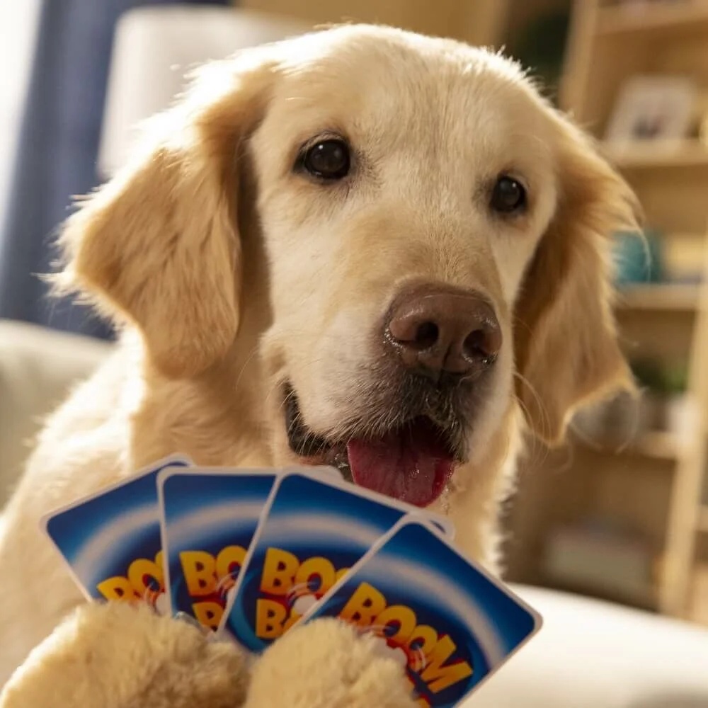 Gra Zręcznościowa Boom Boom Psiaki I Kociaki