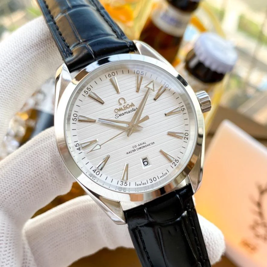 Omega Watch SEAMASTER AQUA TERRA STAINLESS STEEL WHITE DIAL
