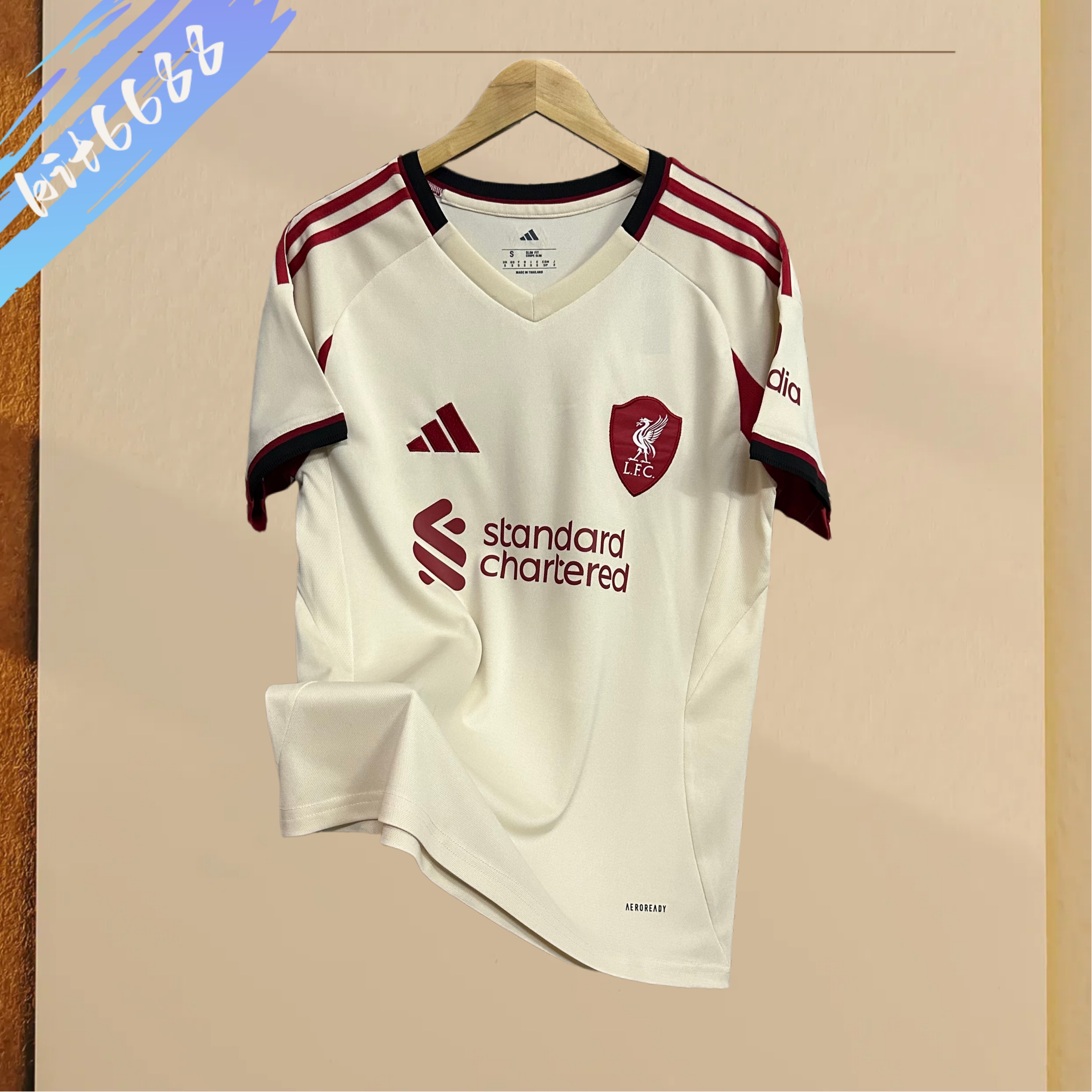 2025/2026 Liverpool Away Football Jersey (Fans)