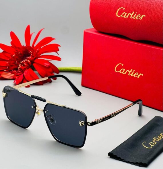 Cartier sunglasses 24