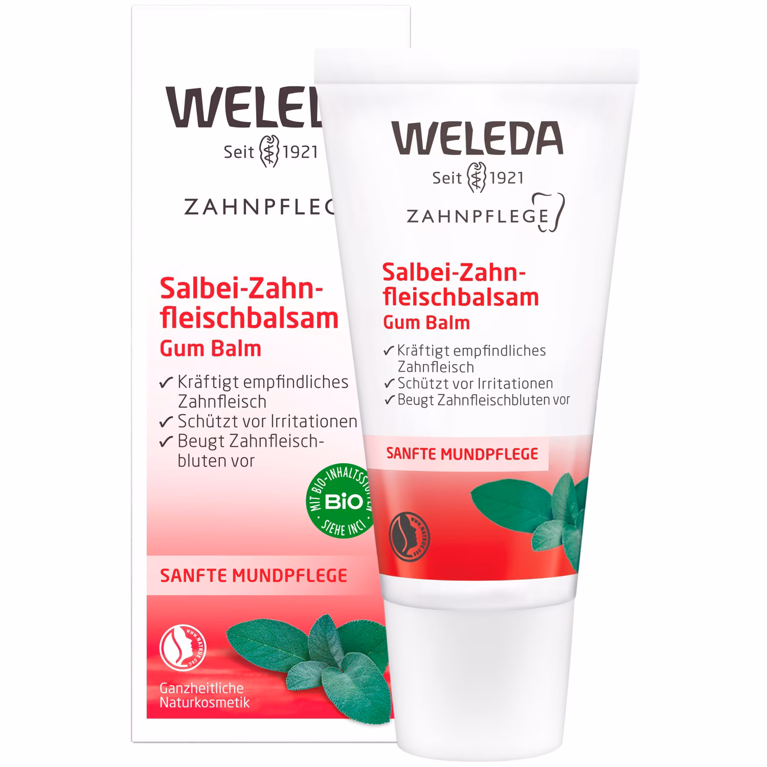 Salbei