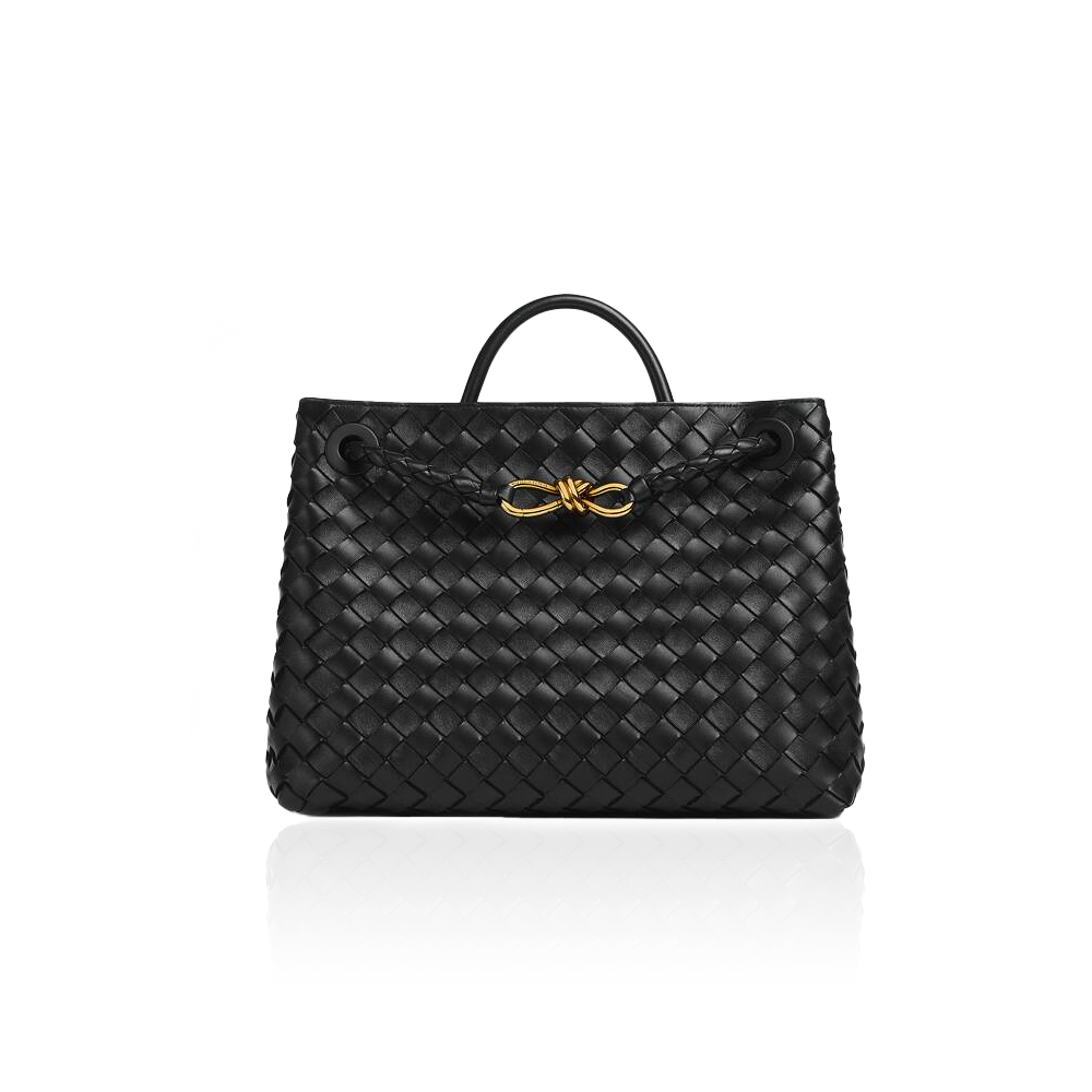 Bottega Veneta BV Medium Andiamo Bag