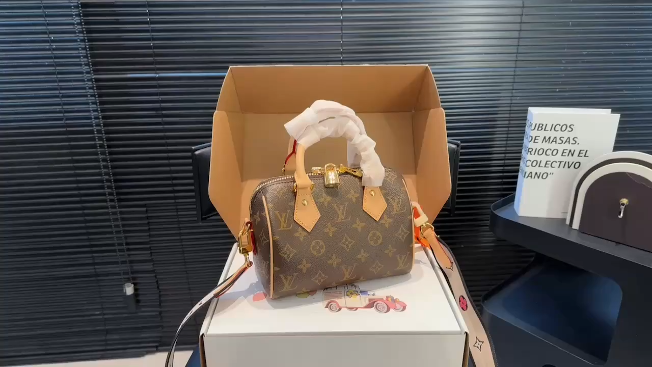 LV Bag