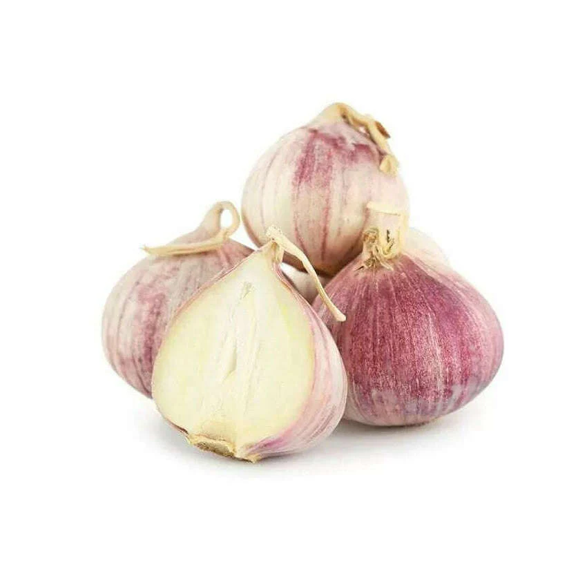 Garlic SOLO – Mild single-clove garlic for fine cuisine