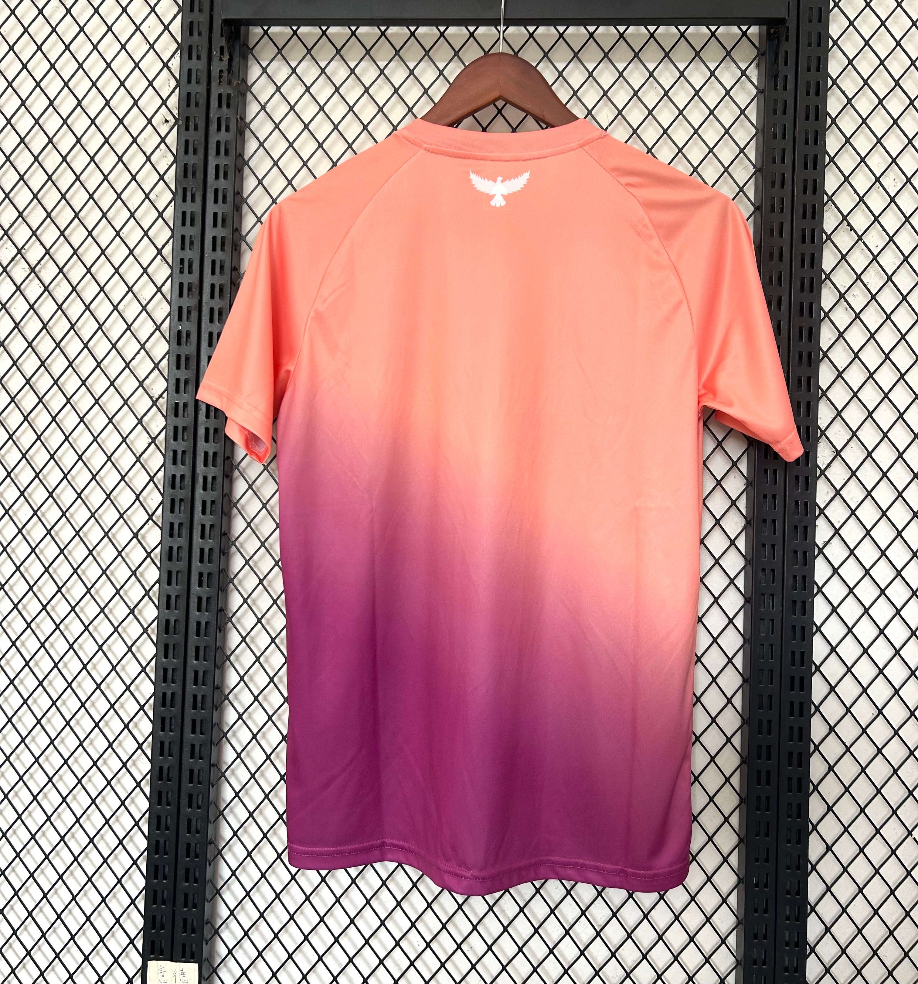 2025/2026 OGC Nice Pre-match Training Football Shirt (Fan Edition)