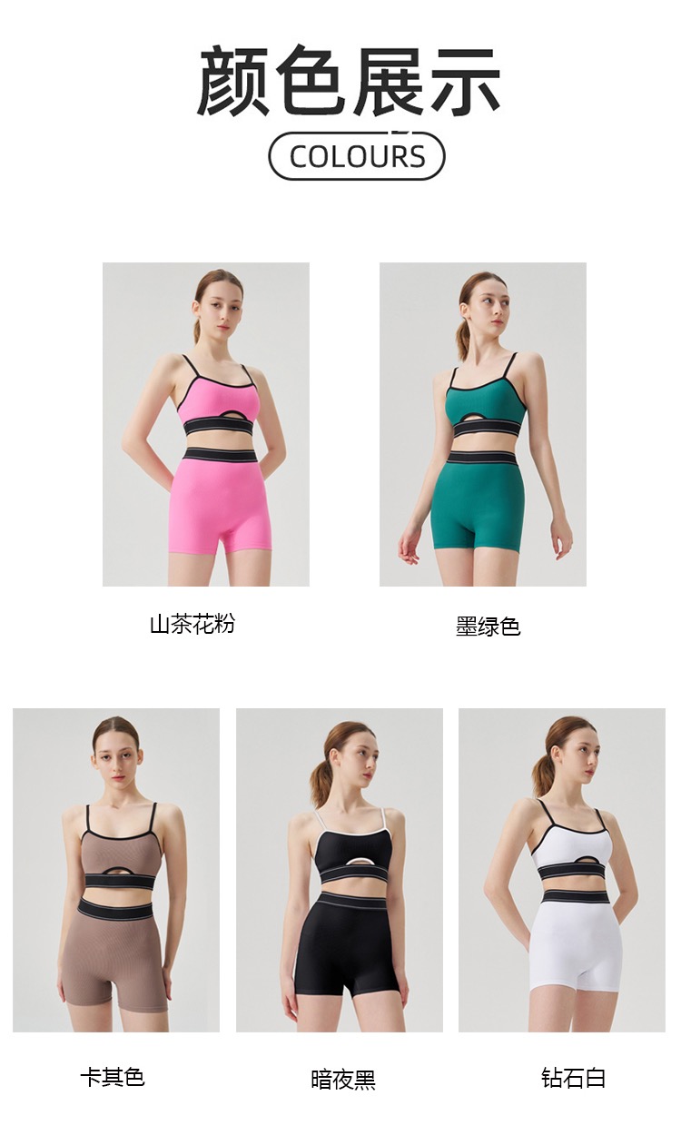 Alo Style Seamless Ribbed Shorts Set