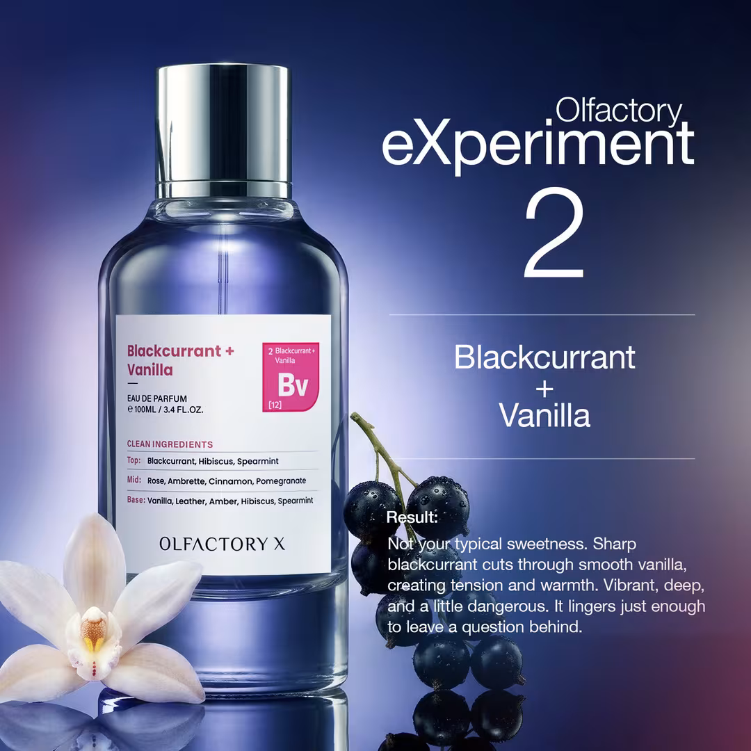 OLFACTORY X  Blackcurrant + Vanilla Eau de Parfum
