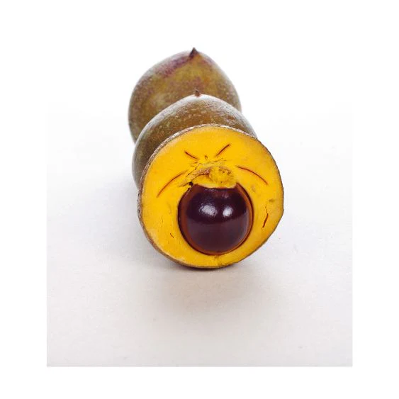 Lucuma – Exotic superfruit with natural sweetness & power