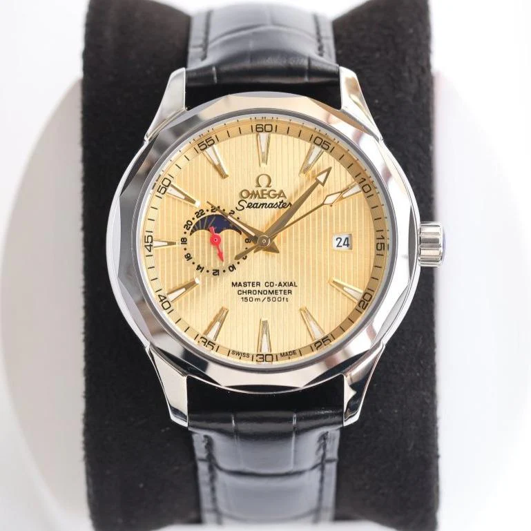 Omega Watch SEAMASTER CHRONOMETER 42MM MOONPHASE STEEL CASE