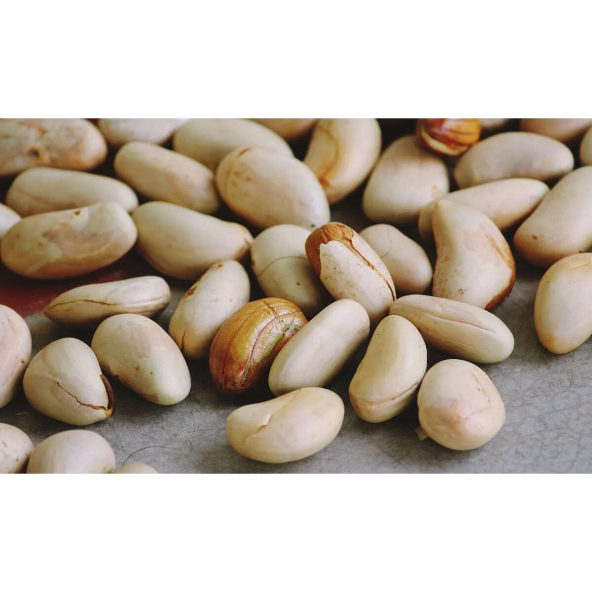 Jackfruit seeds – nutritious and versatile for veggie cooking