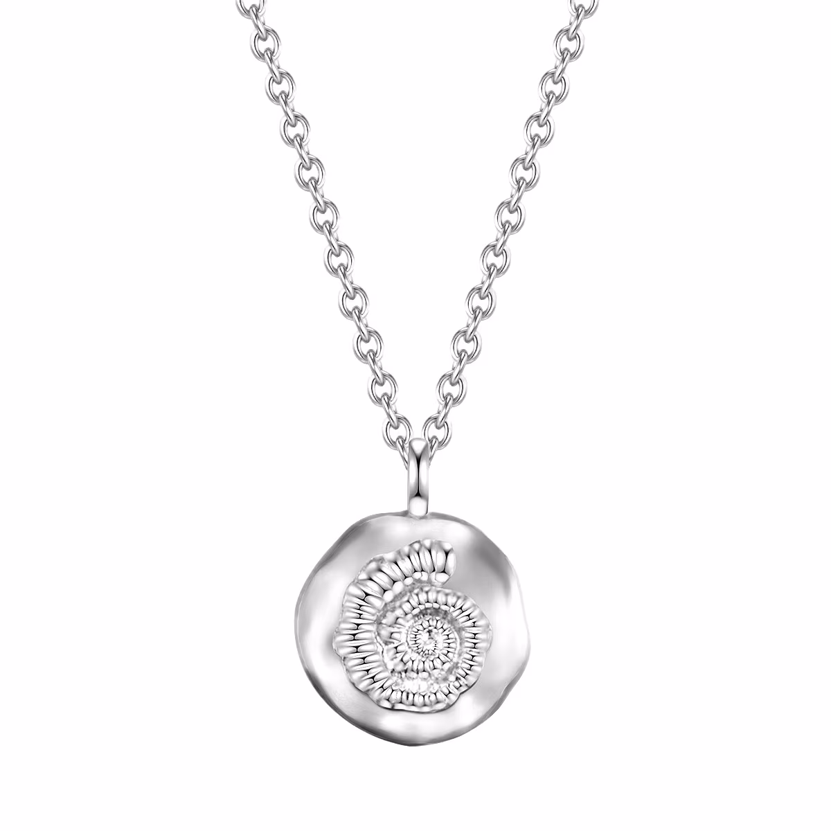 Halskette Muschel Sterling Silber in Silber