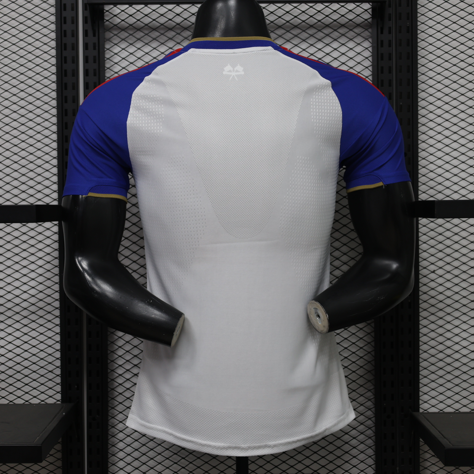 2026/2027 Lyon Home Football Shirt (Player version)
