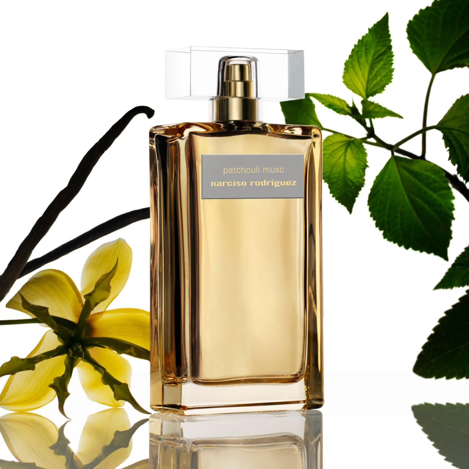 Patchouli Musc Intense